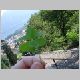 012 Locarno.jpg